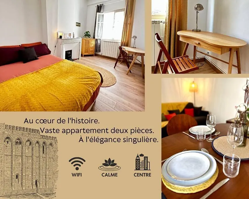 Grand T2 De Caractere Apartment Avignon 0*,  France