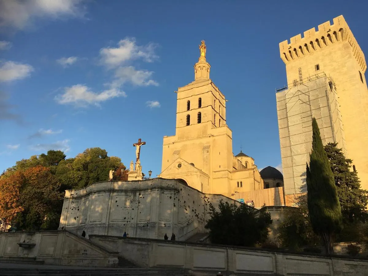 Grand T2 De Caractere Apartment Avignon